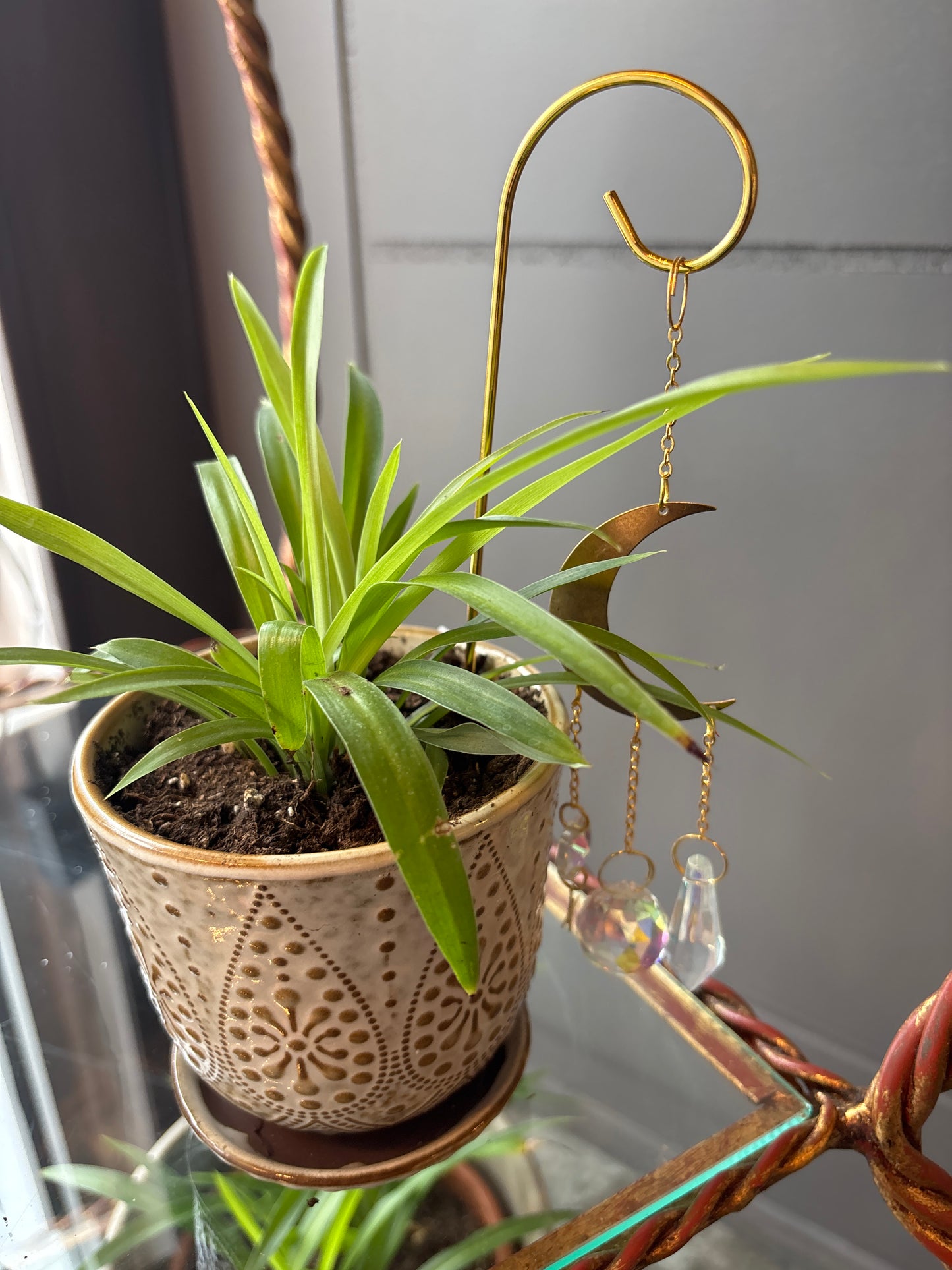 Plant Sun catchers Stakes & Decor