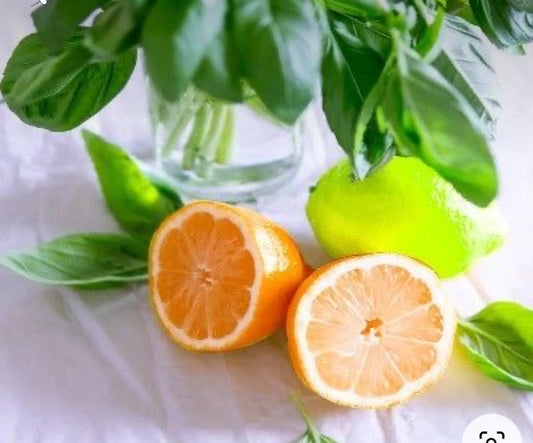 Gilded Mandarin 9oz Hand Poured Soy Candle in Amber Glass Jar